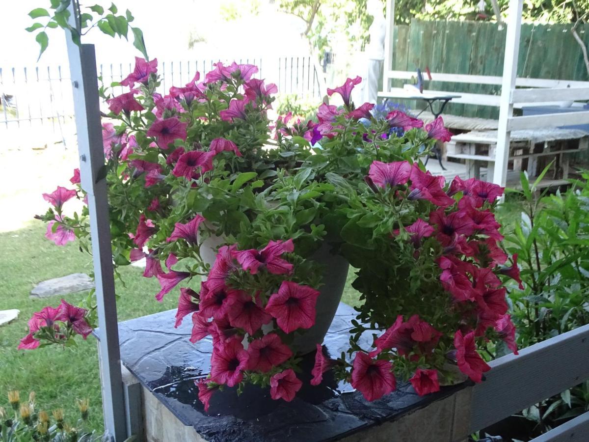 Country house Blue Dreams Almiropotamos